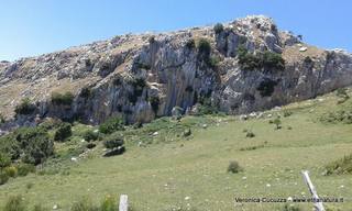 Rocche del Crasto